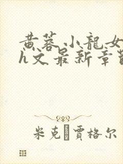 黄蓉小龙女双修h文最新章节列表