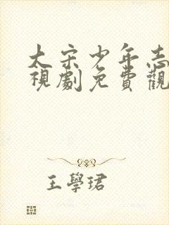 大宋少年志2电视剧免费观看