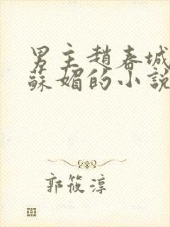 男主赵春城女主苏媚的小说