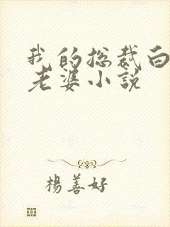 我的总裁白富美老婆小说