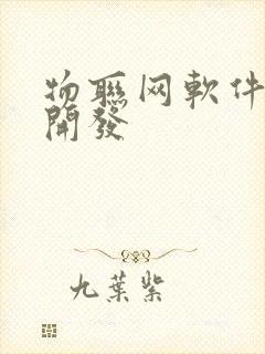 物联网软件定制开发