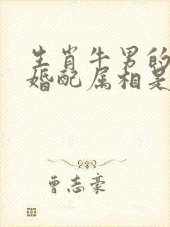 生肖牛男的最佳婚配属相是什么