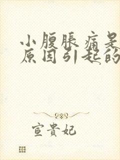 小腹胀痛是什么原因引起的女性