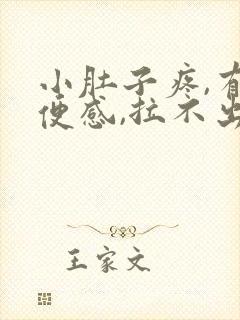 小肚子疼,有大便感,拉不出来