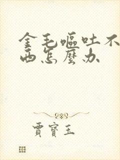 金毛呕吐不吃东西怎么办