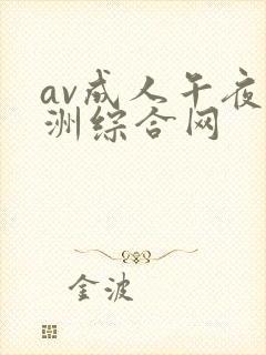 av成人午夜亚洲综合网