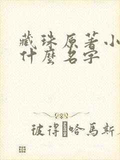 藏珠原著小说叫什么名字