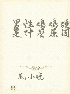 男性鸡鸡硬不起是什么原因