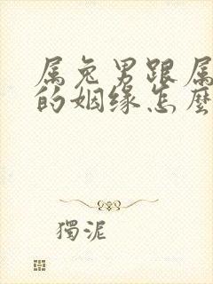 属兔男跟属猴女的姻缘怎么样