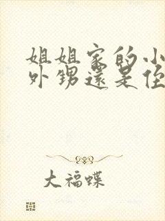 姐姐家的小孩叫外甥还是侄子封面