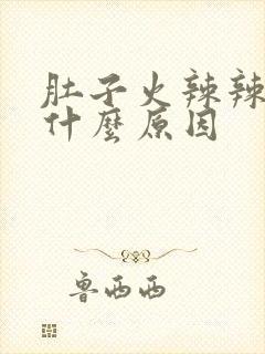 肚子火辣辣的痛什么原因