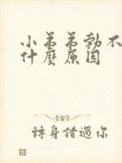 小弟弟勃不起是什么原因