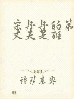 宋丹丹的第一任丈夫是谁