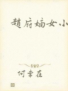 赵府嫡女小说封面