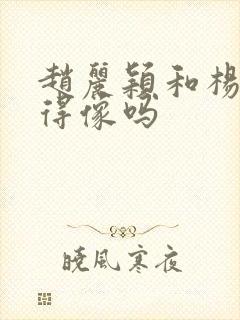 赵丽颖和杨幂长得像吗