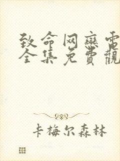 致命网恋电视剧全集免费观看高清