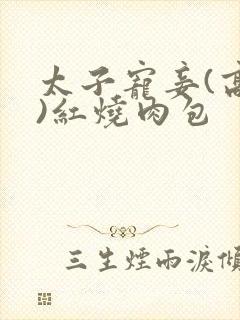太子宠妾(高肉)红烧肉包
