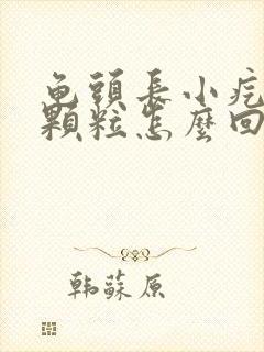 龟头长小疙瘩小颗粒怎么回事