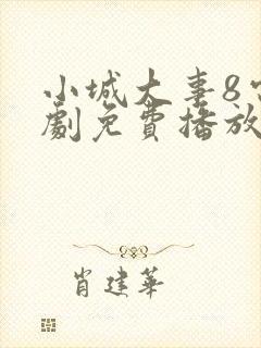 小城大事8电视剧免费播放