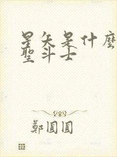 星矢是什么级别圣斗士