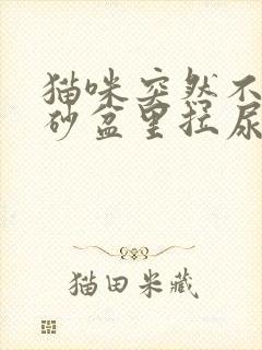 猫咪突然不在猫砂盆里拉尿怎么回事