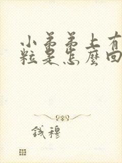 小弟弟上有小肉粒是怎么回事