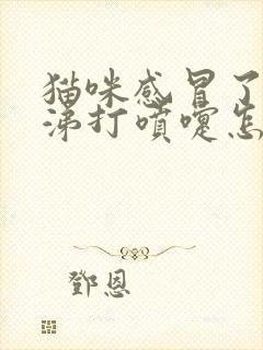 猫咪感冒了流鼻涕打喷嚏怎么办