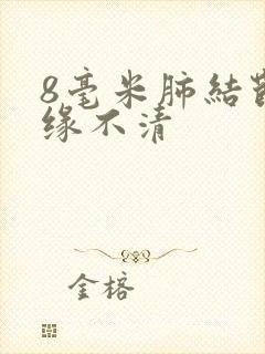 8毫米肺结节边缘不清