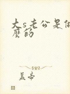 大s老公是做什么的封面