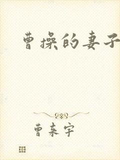 曹操的妻子是谁