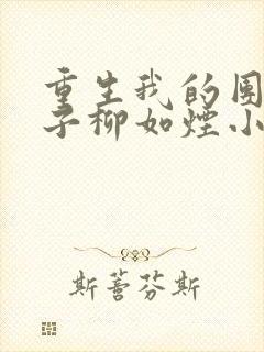 重生我的团长妻子柳如烟小说