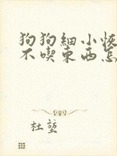 狗狗细小恢复期不吃东西怎么办