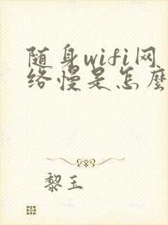 随身wifi网络慢是怎么回事