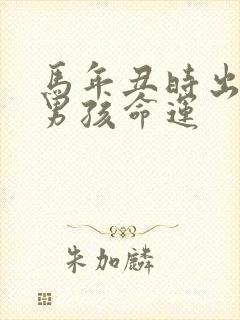 马年丑时出生的男孩命运