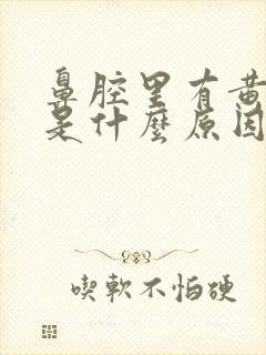 鼻腔里有黄鼻夹是什么原因