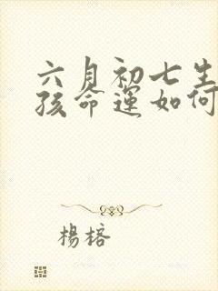 六月初七生的男孩命运如何