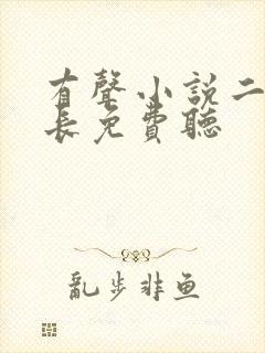 有声小说二号首长免费听封面