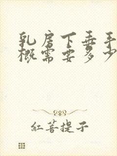 乳房下垂手术大概需要多少钱