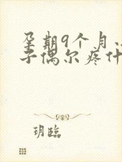 孕期9个月小肚子偶尔疼什么原因封面