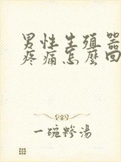 男性生殖器有点疼痛怎么回事