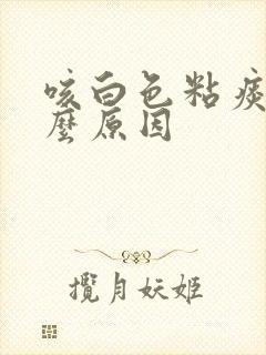 咳白色粘痰是什么原因封面