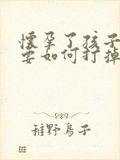 怀孕了孩子不想要如何打掉