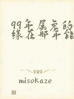 99年属兔的姻缘在哪年能遇到正缘