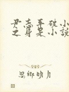 尹志平破小龙女之身是小说吗封面