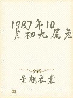 1987年10月初九属兔的命运和财运