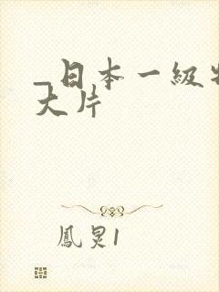 _日本一级特黄大片