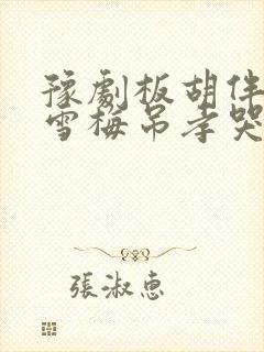 豫剧板胡伴奏秦雪梅吊孝哭灵