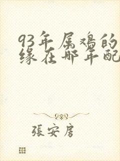 93年属鸡的姻缘在哪年配偶