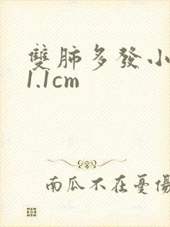 双肺多发小结节1.1cm封面