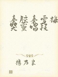 秦腔秦雪梅吊孝哭灵唱段